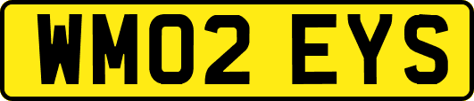 WM02EYS