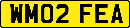 WM02FEA