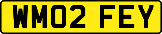 WM02FEY