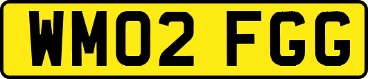 WM02FGG