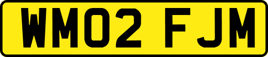 WM02FJM