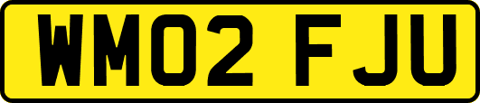 WM02FJU