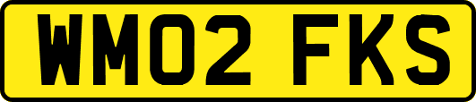 WM02FKS