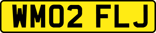 WM02FLJ