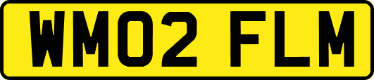 WM02FLM
