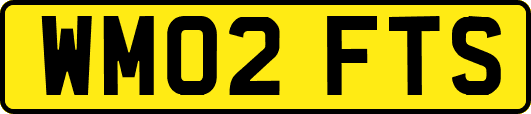 WM02FTS