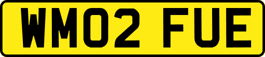 WM02FUE