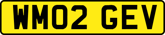WM02GEV