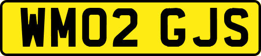 WM02GJS