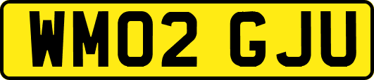 WM02GJU