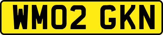 WM02GKN