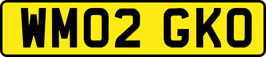 WM02GKO