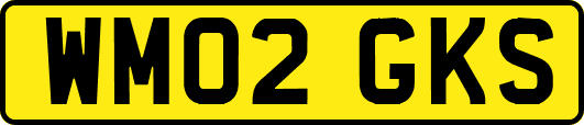 WM02GKS