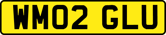 WM02GLU