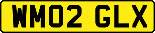 WM02GLX