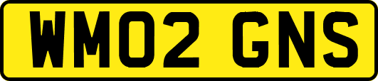 WM02GNS