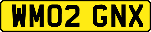 WM02GNX