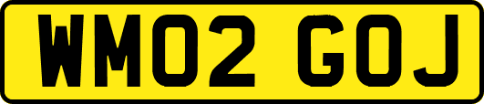 WM02GOJ