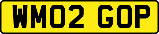 WM02GOP
