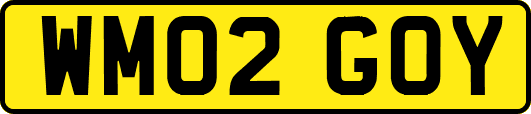 WM02GOY