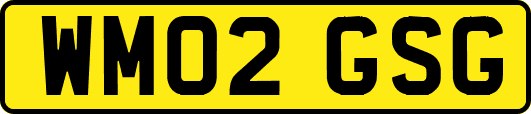 WM02GSG