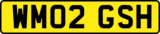 WM02GSH