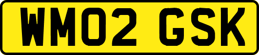 WM02GSK