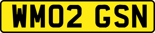 WM02GSN