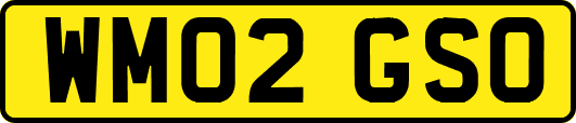 WM02GSO