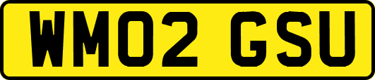 WM02GSU