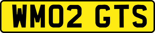WM02GTS