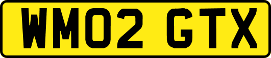 WM02GTX