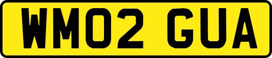 WM02GUA