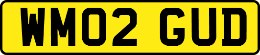 WM02GUD