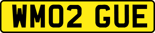 WM02GUE