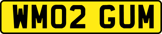 WM02GUM