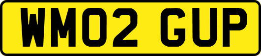 WM02GUP