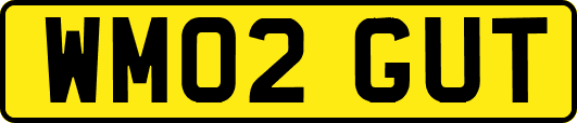 WM02GUT