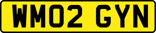 WM02GYN