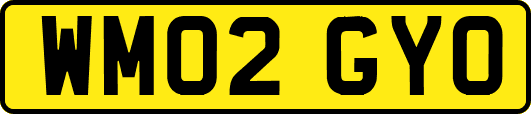 WM02GYO