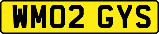 WM02GYS