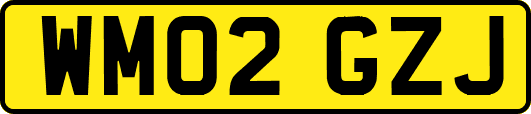 WM02GZJ