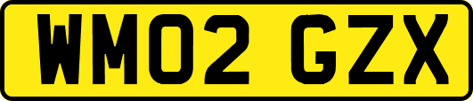 WM02GZX