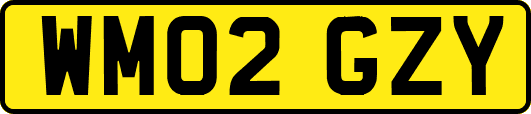 WM02GZY