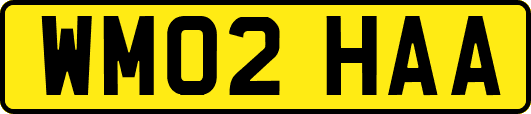 WM02HAA