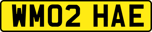 WM02HAE