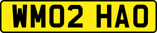 WM02HAO