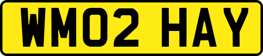 WM02HAY