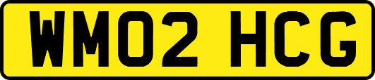 WM02HCG