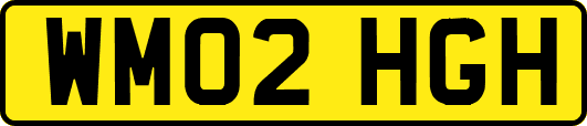 WM02HGH